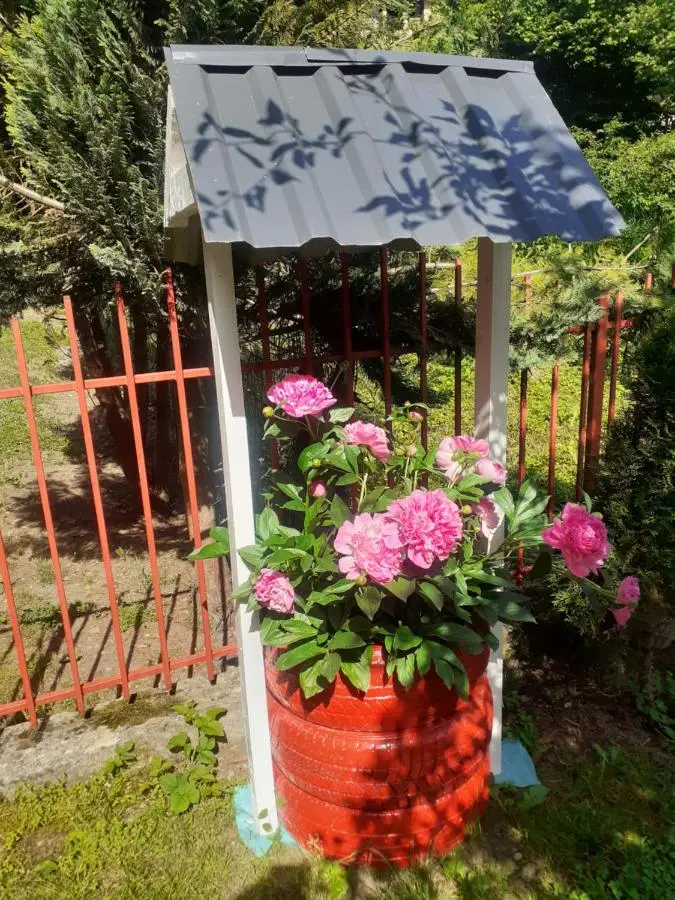 Apartman Mahala one