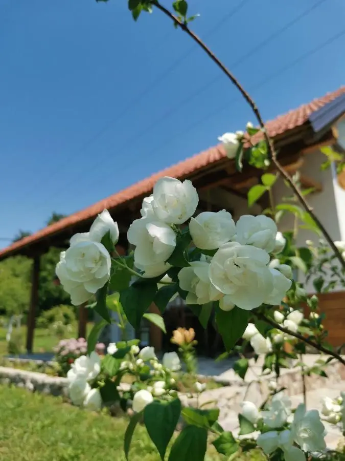 Nektar Park Villa Sara