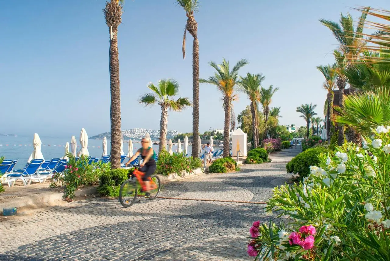 Bodrum Infinity