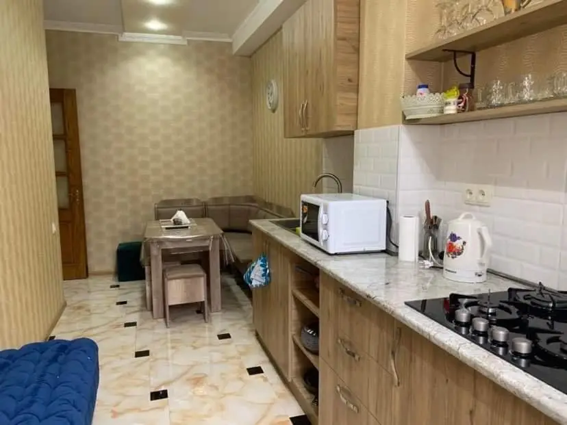 Tea’s Condo in the Heart of Tbilisi (3)