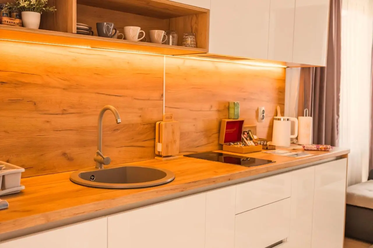 Downtown Apartment Travnik