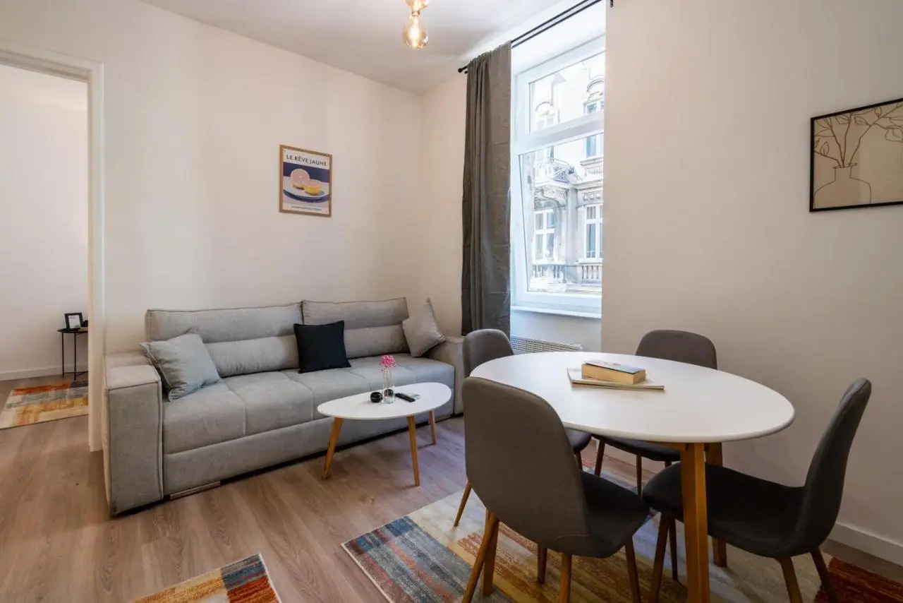 Modern Apartments in the Center of Sarajevo