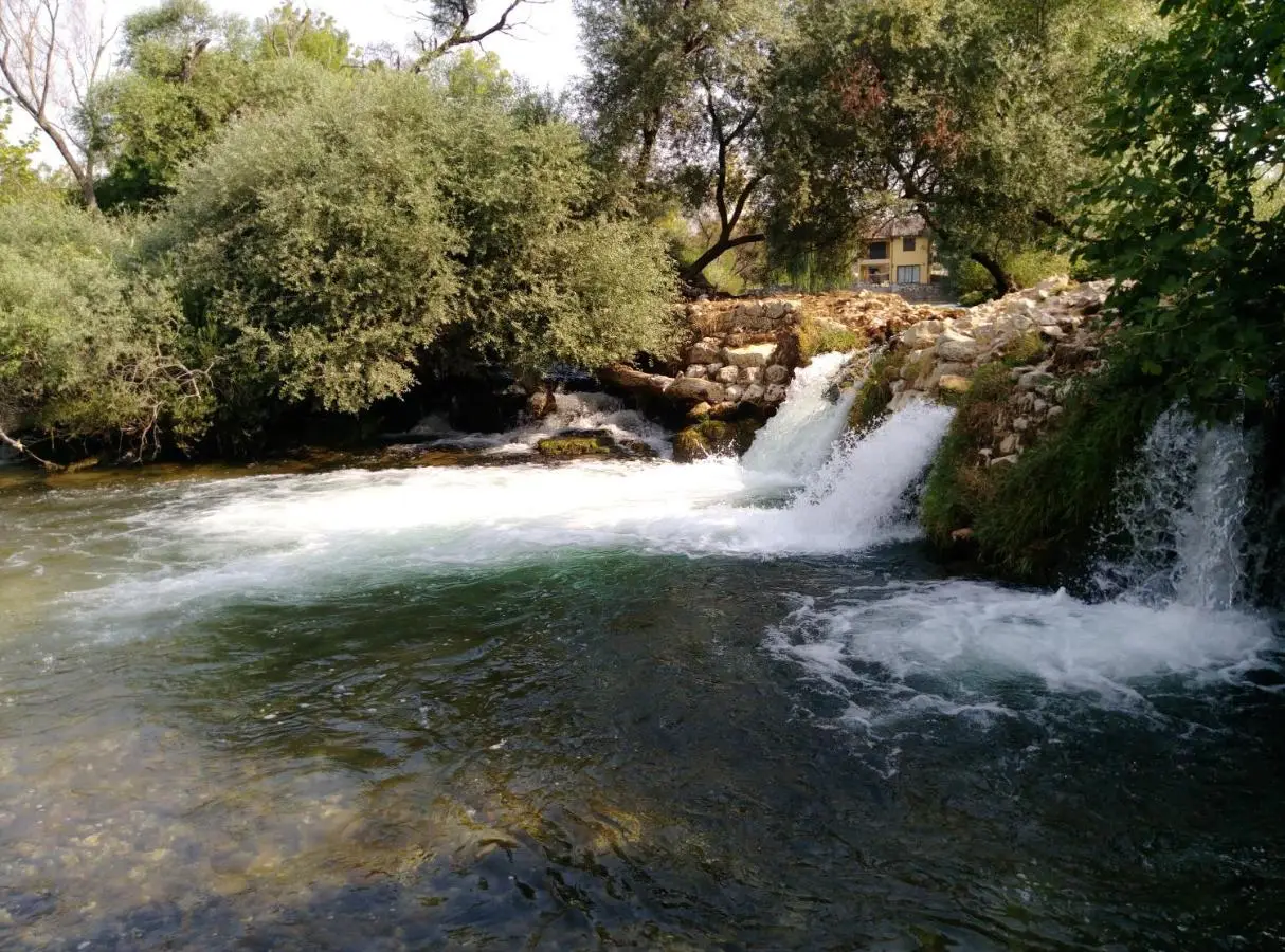 River House Buna