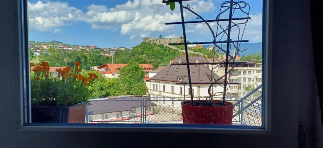 Bella vista