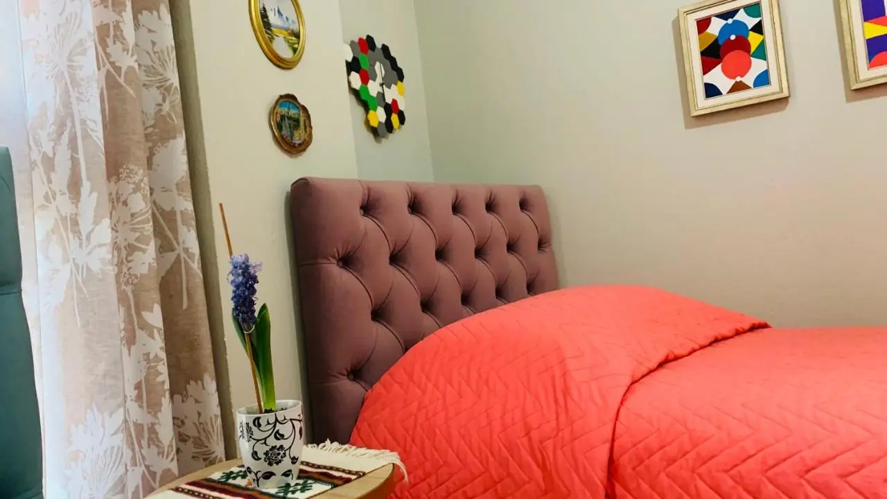 Central Comfy Apartment