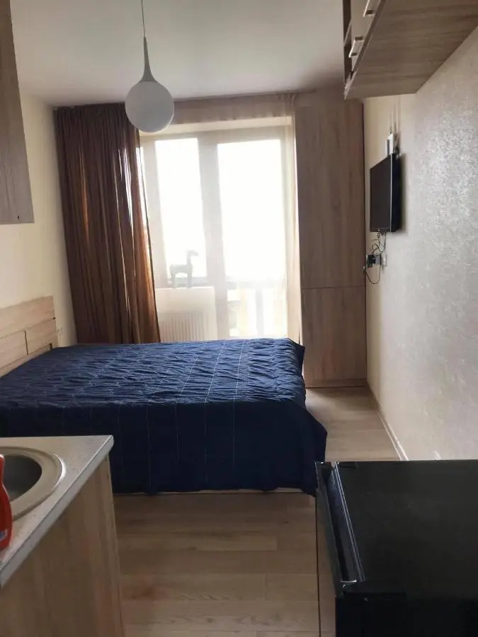 Bakuriani Apartment