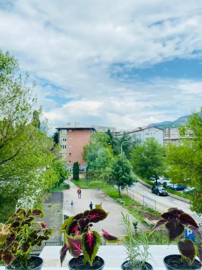 GREEN Apartment