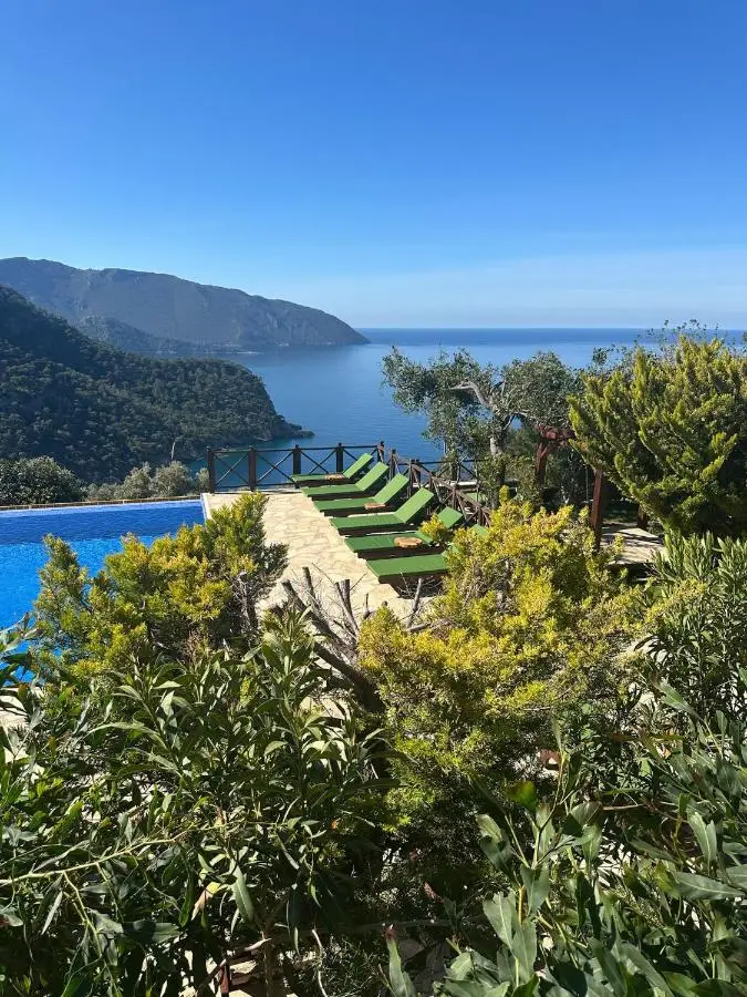 Olive Garden Kabak