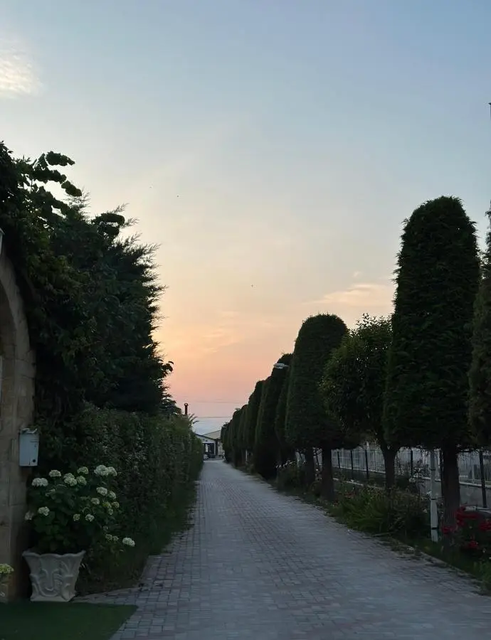 Rritja e Koranit