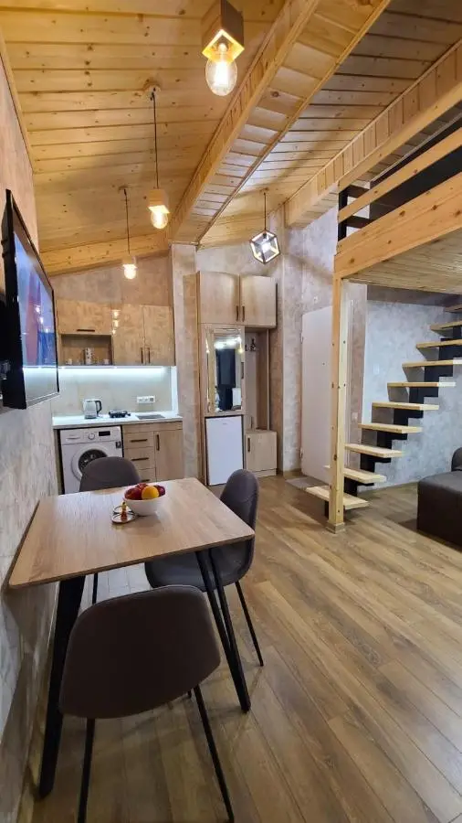 winter house GUDAURI