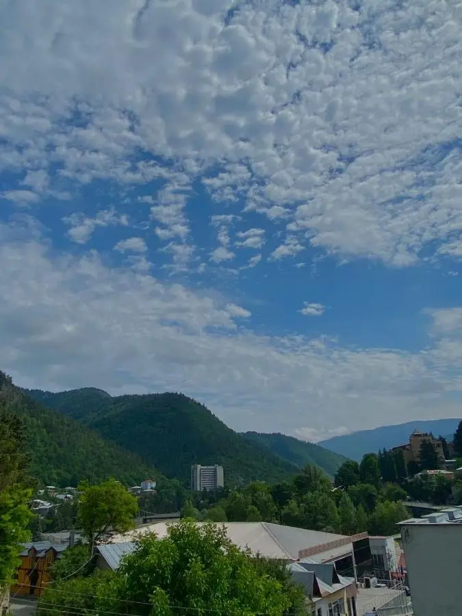 Borjomi Central