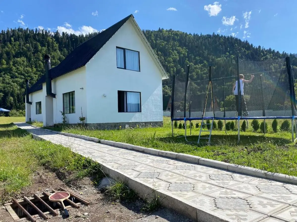 White House near Borjomi Sadgeri