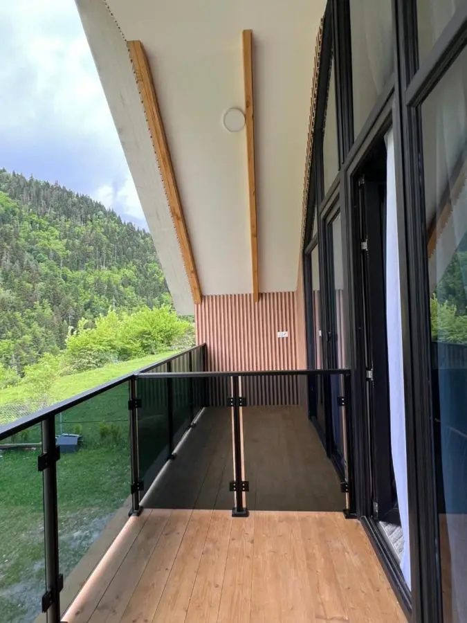 MTA house - Borjomi