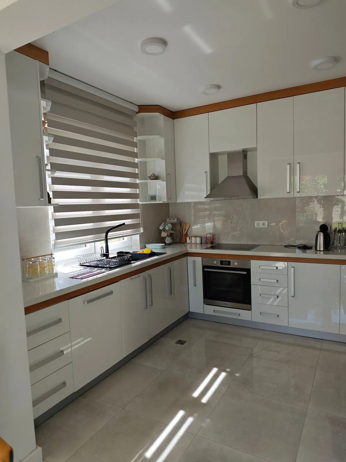 Luxury Villa Plandište 1