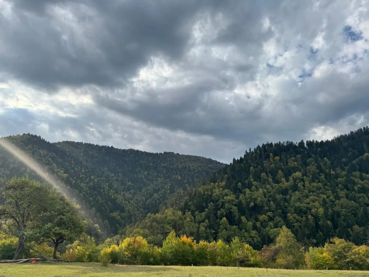 Buddy House Borjomi