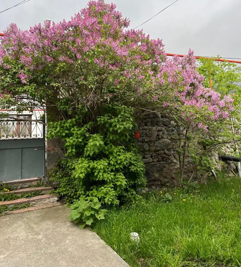 Soso Burduli's Guesthouse