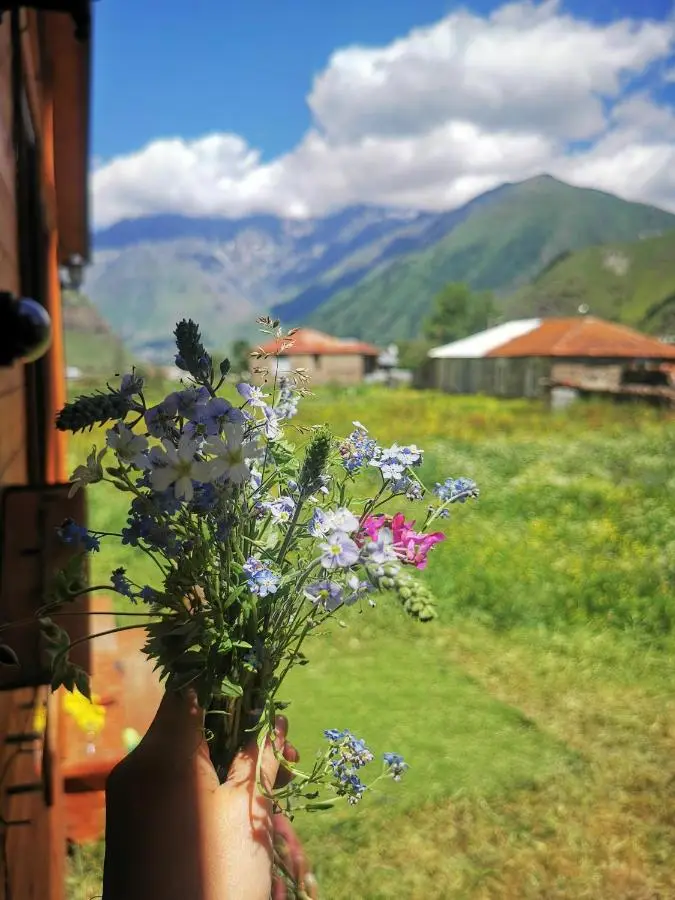 Kazbegi Mountain Cottage MTA-Shi
