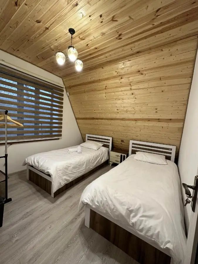 SILAND A Frame House