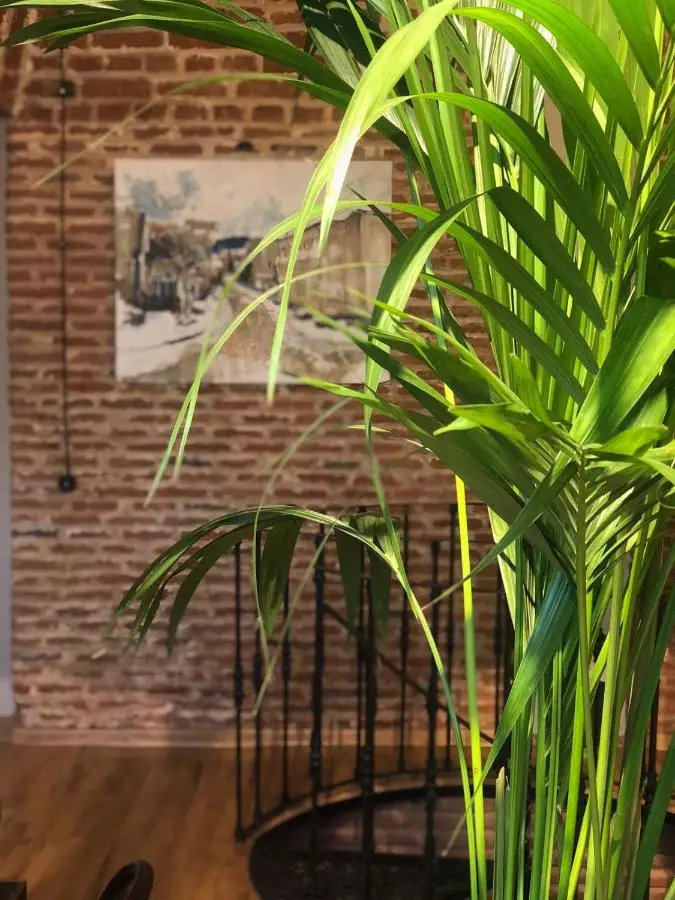 Arts Hotel Tbilisi
