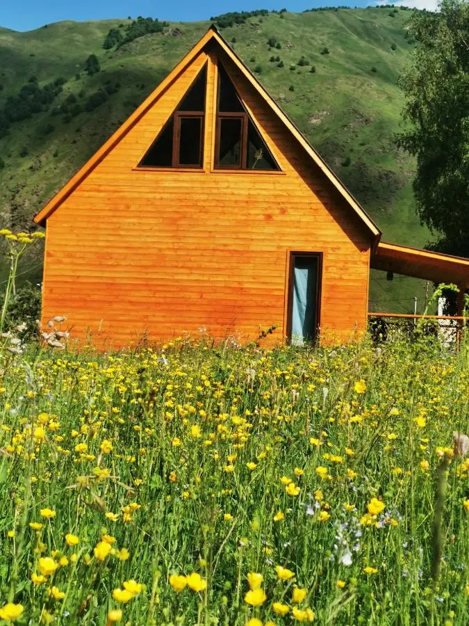 Kazbegi Mountain Cottage MTA-Shi