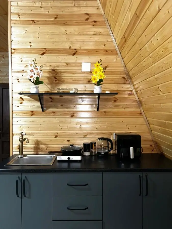 Panorama cottage Martvili