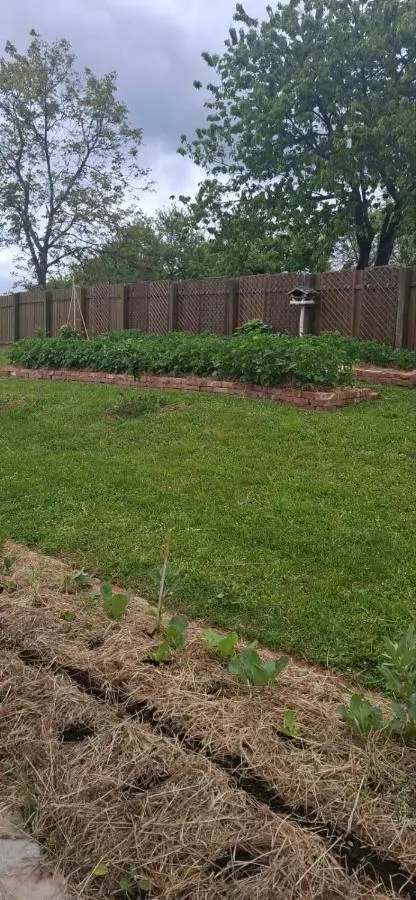 Bio Garden Cottage Sarajevo - Kremeš, Vogošća Seosko domaćinstvo Pogledine