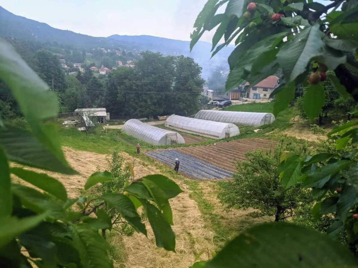 Travnik Nature