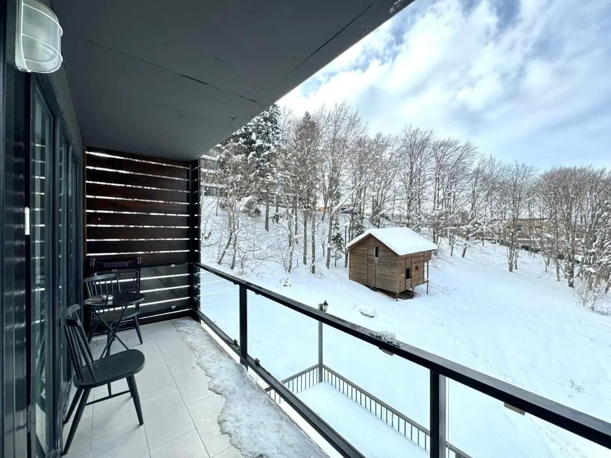 Bakuriani apartment 210