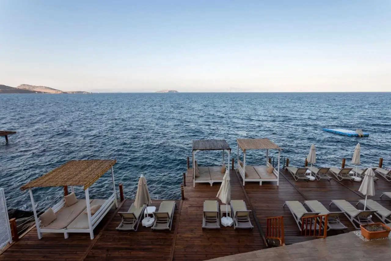 Vega Aparts