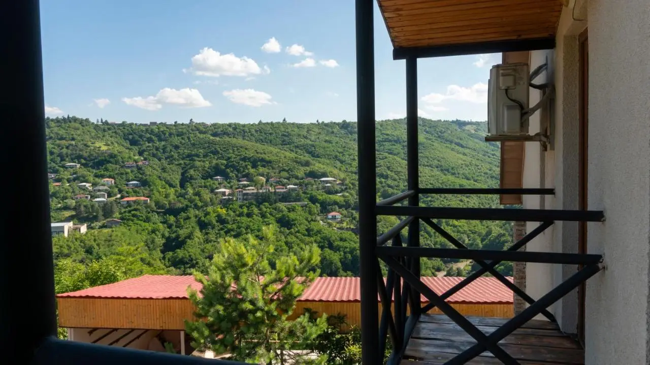 Sighnaghi Hotel Fence Door&Сигнахи Отель Ворота Крепости&სიღნაღი სასტუმრო გალავნის კარი