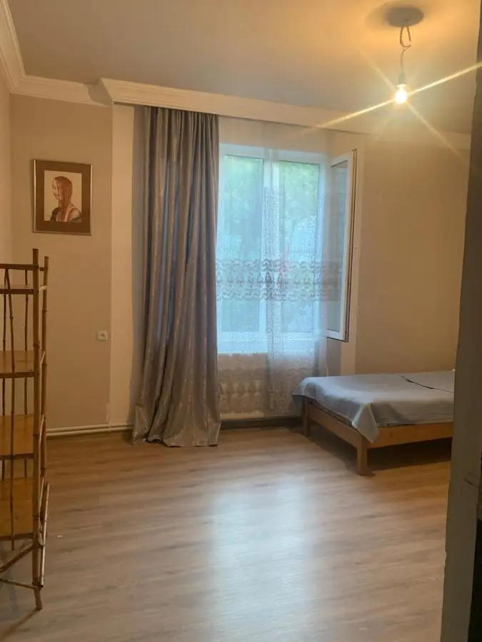 Panorama ananuri guest house