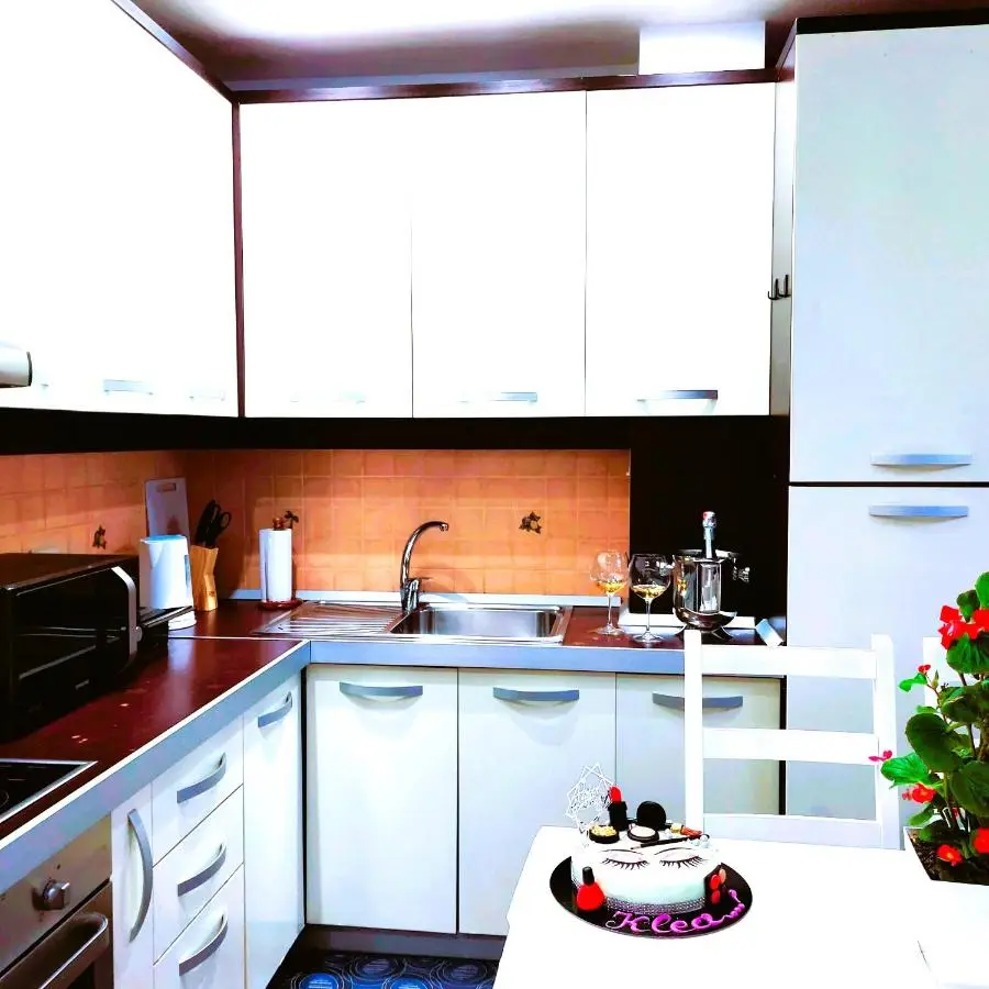 The spacious comfy apartment in the heart of Blloku