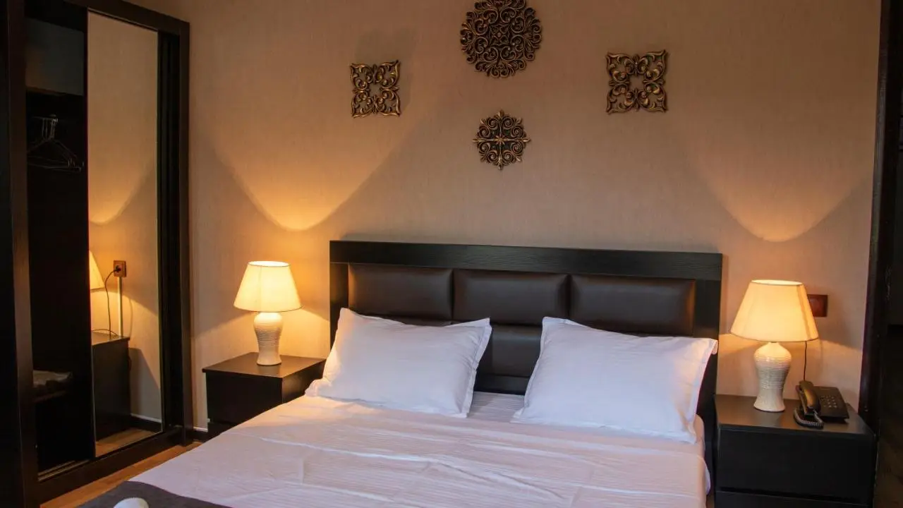 Hotel New Metekhi