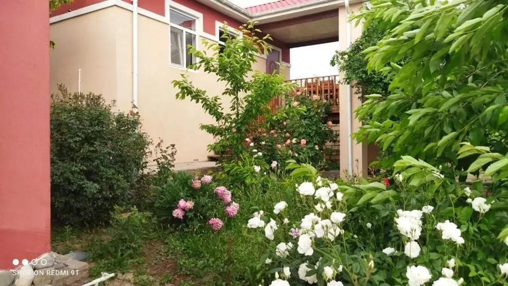 Quba Guest House