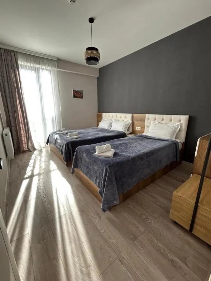 Bakuriani Hotel Apartments 301