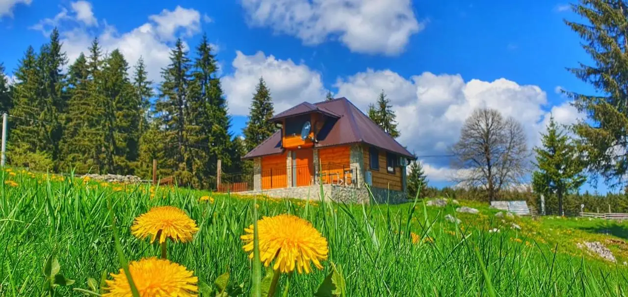 Apartmani Nišićka Oaza