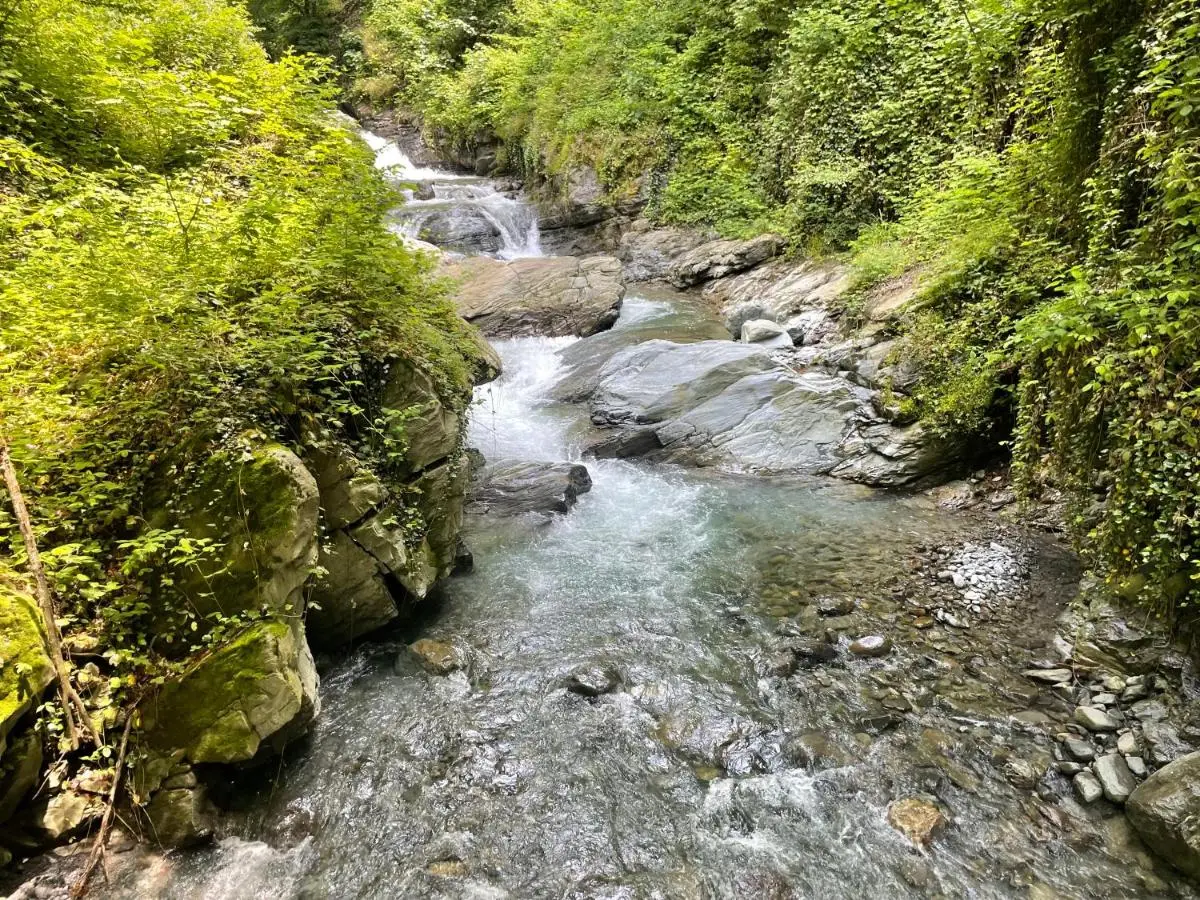 Green Corner