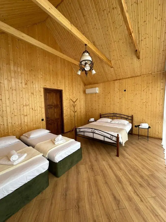 Dream House borjomi sadgeri