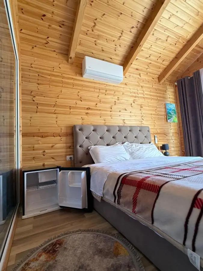 Thethi Mountain Villas