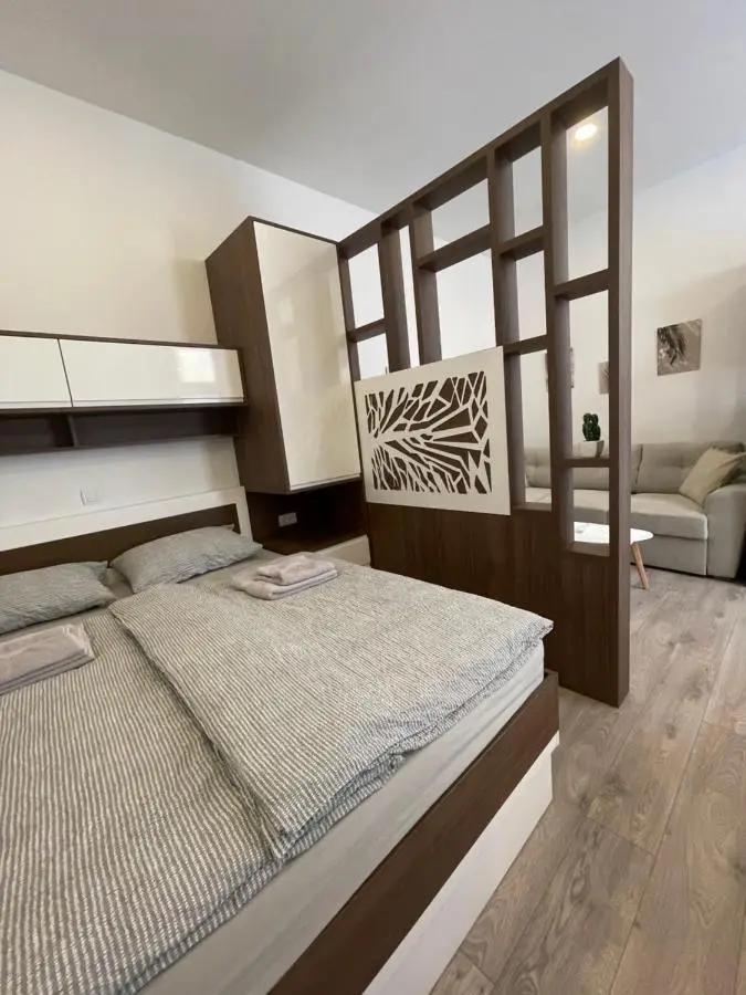 Apartments Studio Center