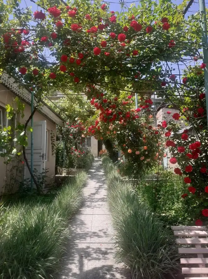 Emma's Guesthouse in Borjomi