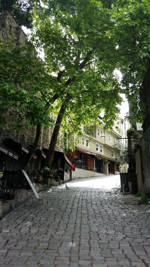 Coskun House