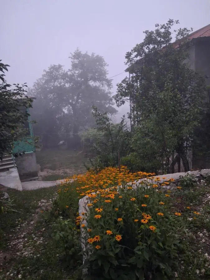 Guest House Guliada