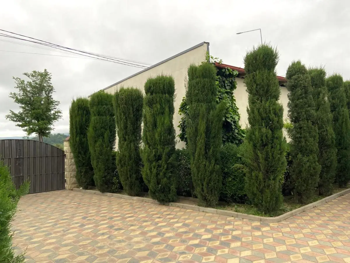 Hotel Doko