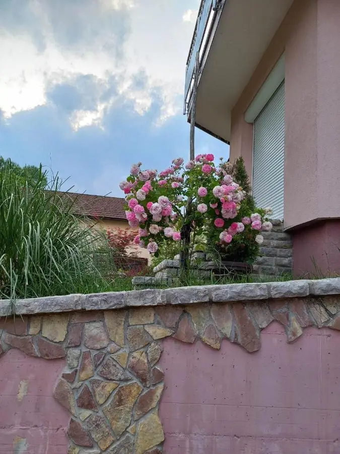 Vila Jasmina