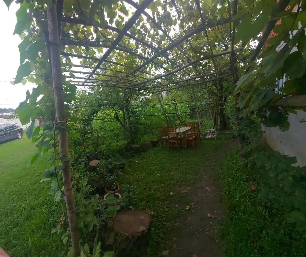 Guest House Sveta