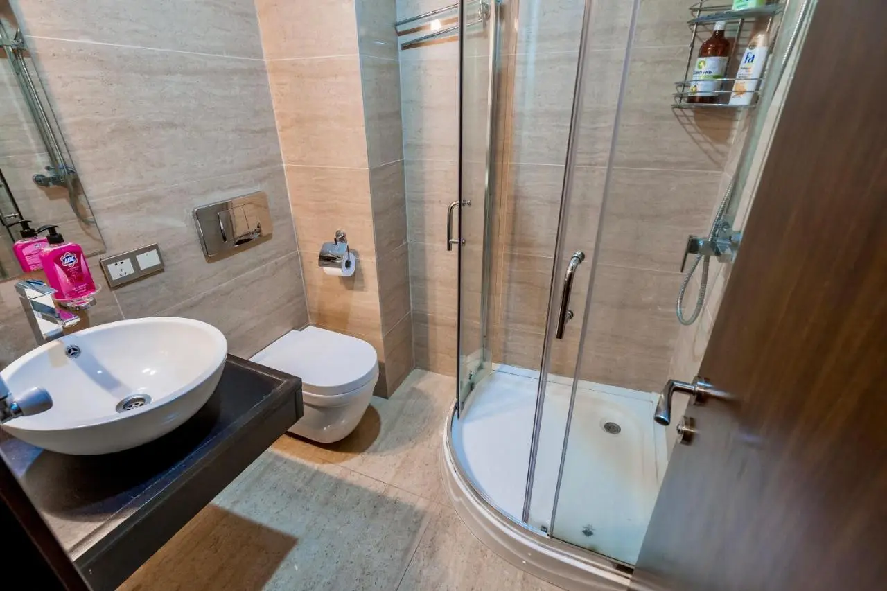 Studio Apartment NFT New Gudauri 215
