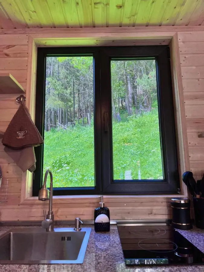 Sno Woodland