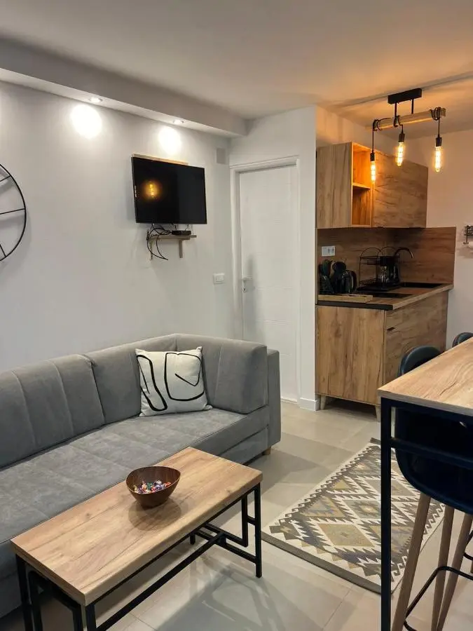 Apartment 528