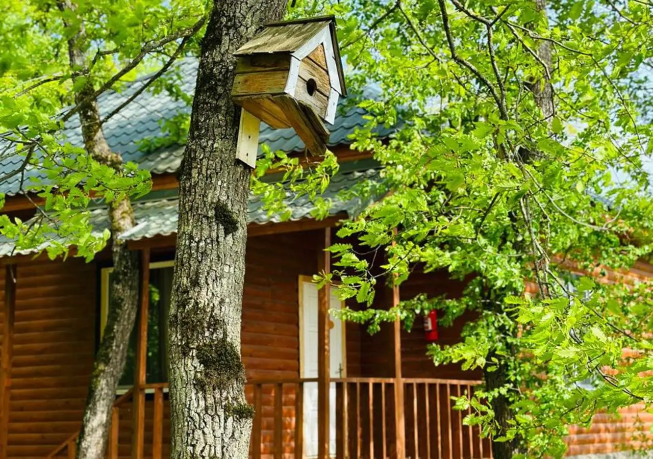 Deluxe Park Qusar Resort & Spa Hotel